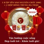Hộp yến sào nguyên chất 100G + 2 hộp đông trùng hạ thảo Hộp yến sào nguyên chất 100G + 2 hộp đông trùng hạ thảo