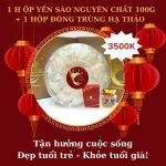 1 Hộp yến sào nguyên chất 100G + 1 hộp đông trùng hạ thảo 1 Hộp yến sào nguyên chất 100G + 1 hộp đông trùng hạ thảo