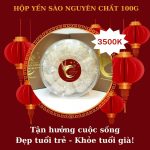 Hộp yến sào nguyên chất 100G Hộp yến sào nguyên chất 100G