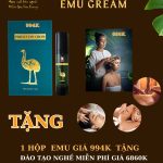 Kem bôi Perfect EMU Cream – THẢI ĐỘC NÃO BỘ – TẶNG DV THẢI ĐỘC NÃO BỘ TRỊ GIÁ 686K HOẶC TẶNG ĐÀO TẠO NGHỀ 6.860K Kem bôi Perfect EMU Cream – THẢI ĐỘC NÃO BỘ – TẶNG DV THẢI ĐỘC NÃO BỘ TRỊ GIÁ 686K HOẶC TẶNG ĐÀO TẠO NGHỀ 6.860K