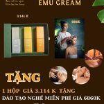 PERFECT VISION EYE CARE KIT – TẶNG DV THẢI ĐỘC NÃO BỘ TRỊ GIÁ 686K HOẶC ĐÀO TẠO NGHỀ GIÁ 6868K PERFECT VISION EYE CARE KIT – TẶNG DV THẢI ĐỘC NÃO BỘ TRỊ GIÁ 686K HOẶC ĐÀO TẠO NGHỀ GIÁ 6868K